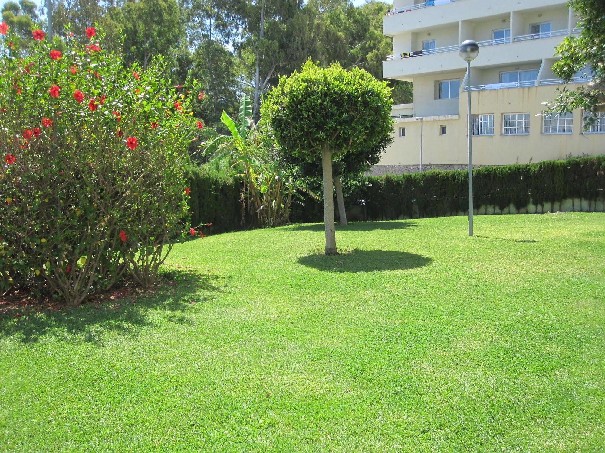 Apartament Fan Flat *